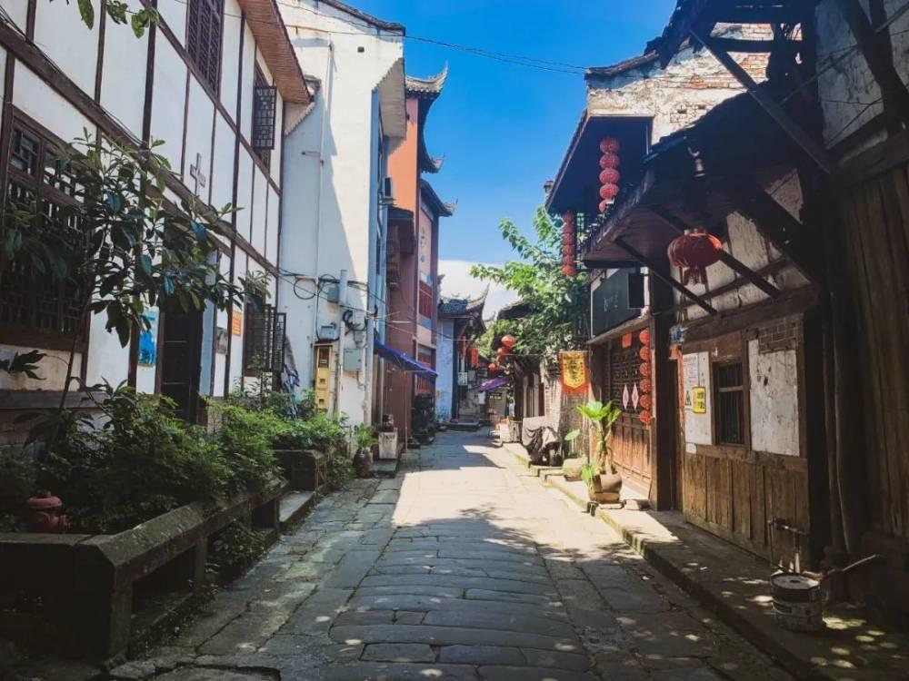 救援采蜜人